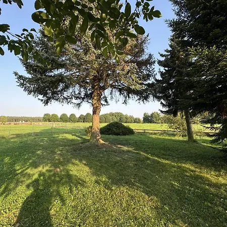 Restaurant Und Zur Wildgans Nocleg ze śniadaniem Arendsee (Altmarkkreis Salzwedel)