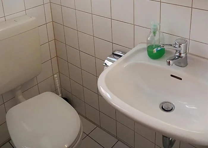 Restaurant Und Zur Wildgans 3*